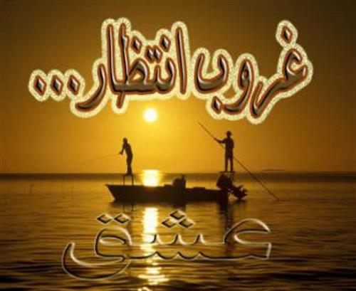 mohammad&nbsp;johardelvri