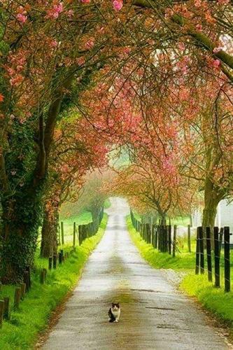 رعنا &nbsp;مهتاب