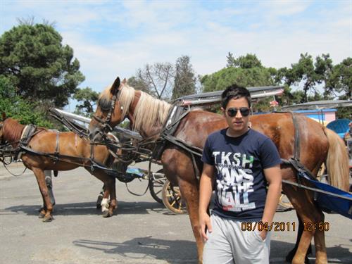 amir som&nbsp;siyami