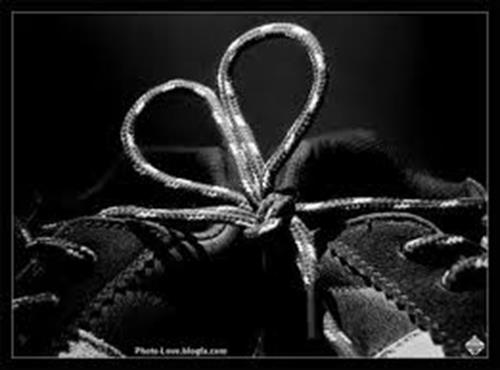 arman&nbsp; disslove