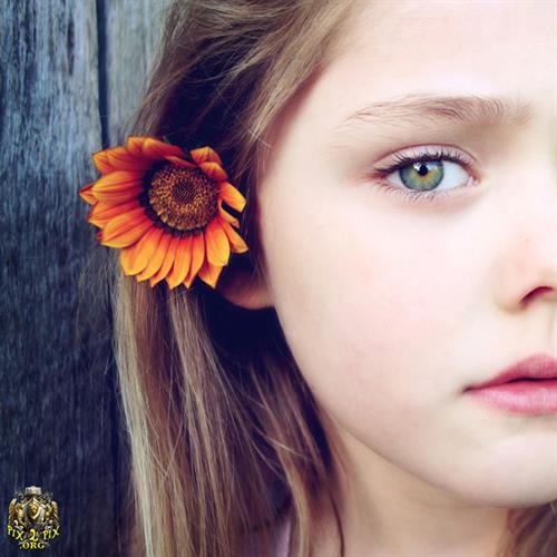 ارزان ترین فروشگاه اینترنتی&nbsp;.100sabad.ir