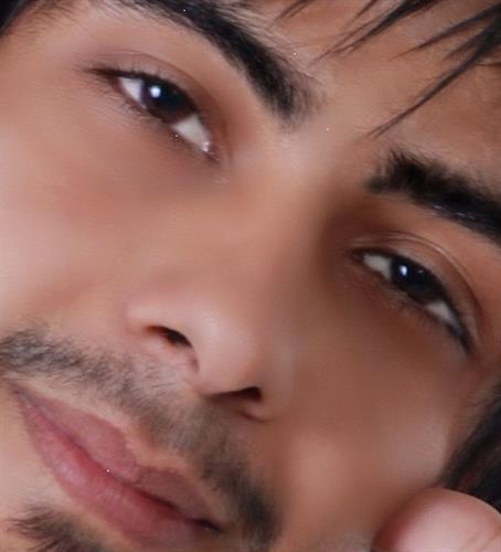 mehran&nbsp;seyed bakhshi