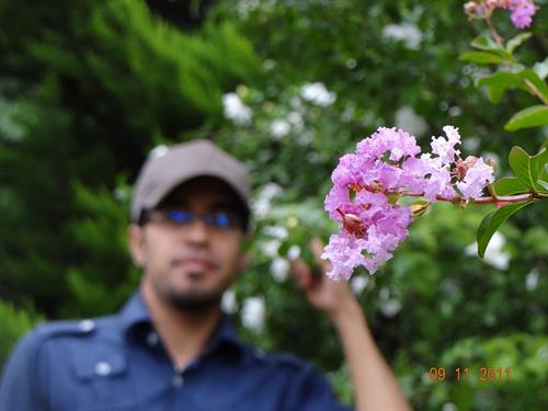 saeed&nbsp;lover boy