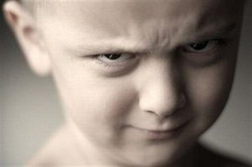 mohammad reza&nbsp;rezaei