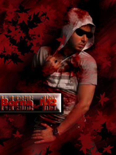 borna&nbsp;m2