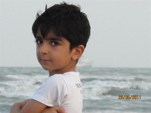 shahrokh&nbsp;ahmadi