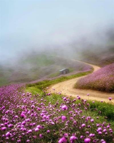 parastoo&nbsp;sky112