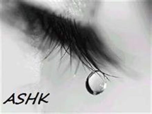 ashk&nbsp;arian manesh