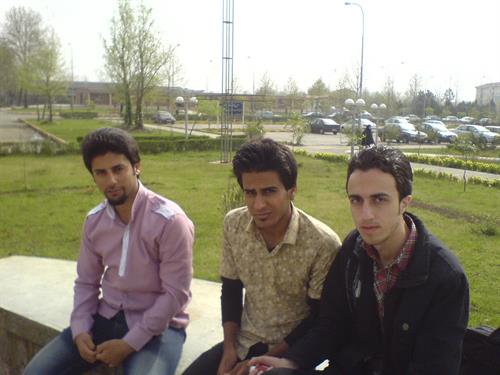 misagh&nbsp;shirinkam