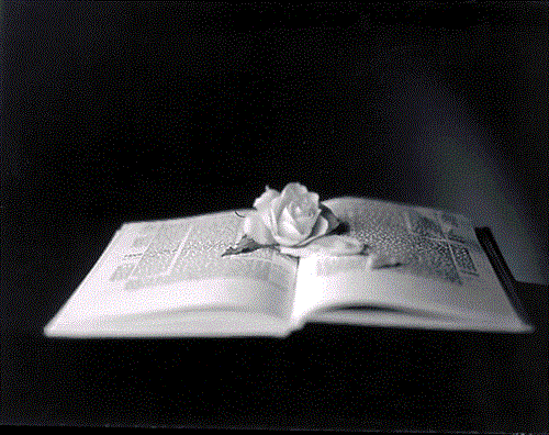 sahar&nbsp;mahallati