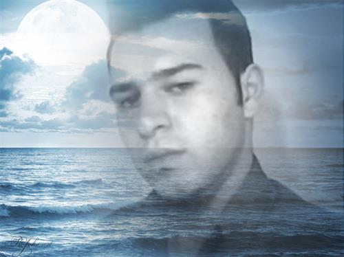 danial&nbsp;roshankerdar