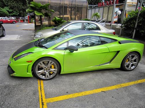 امير&nbsp;نيازي