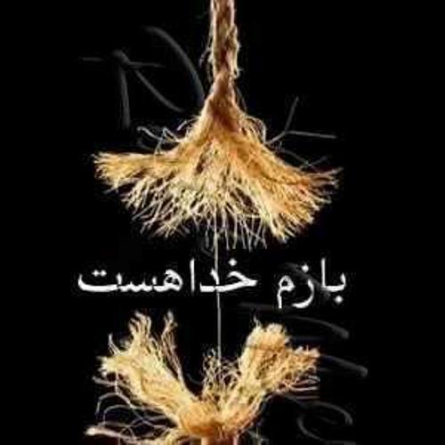 amir ali&nbsp;salehi