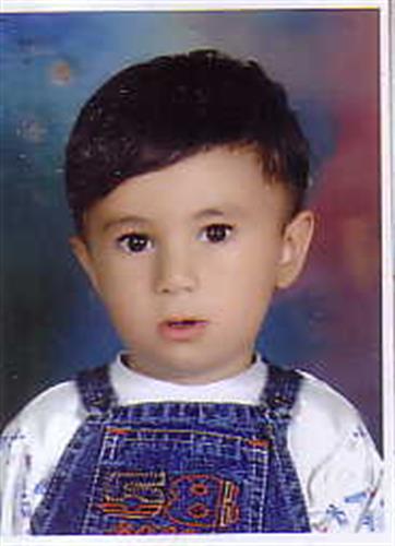 alireza&nbsp;tavakoli