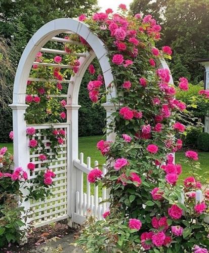 المیرا&nbsp;هاشمی 