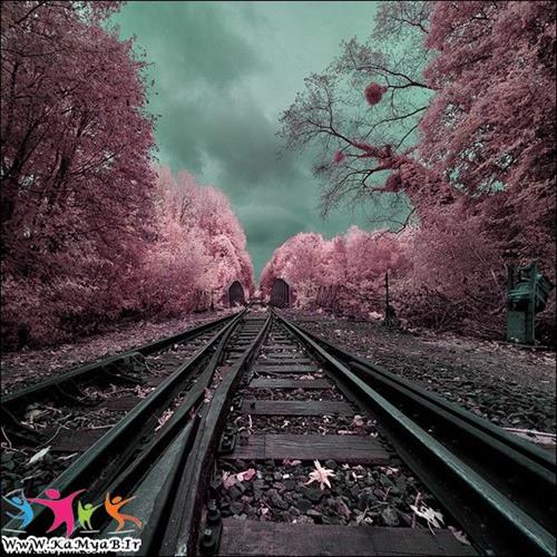 sadaf&nbsp;...........