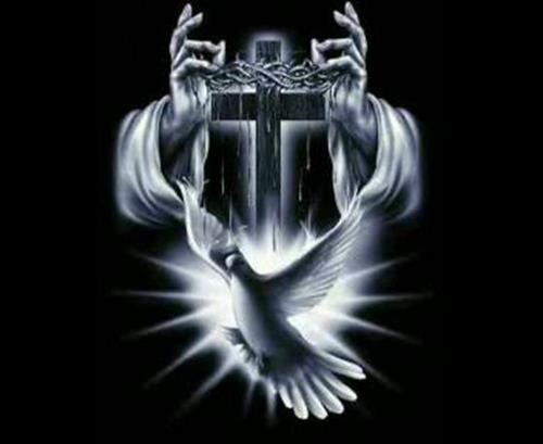 saeid&nbsp;sheaikhee