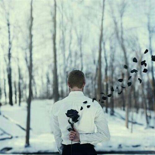 حامد&nbsp;نام