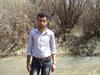 shahin