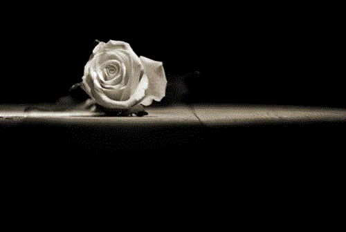 faramarz &nbsp;arman