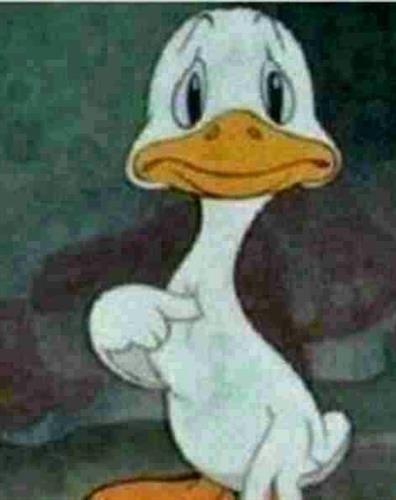 matin92&nbsp;shahbazi