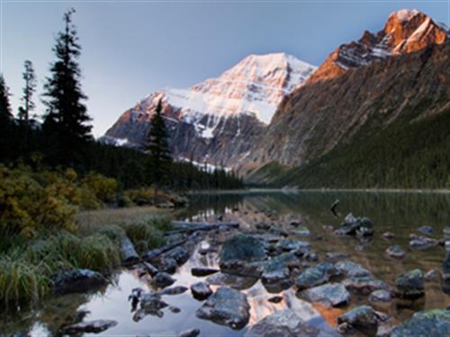 @ r a s h&nbsp;javdaneh