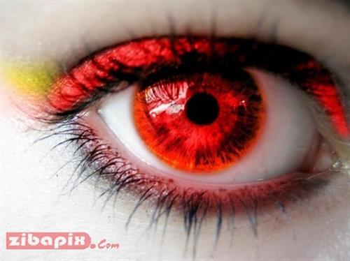 ali asghar&nbsp;hashemi