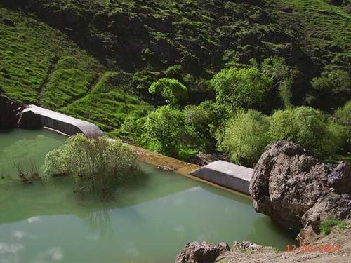 khashayar&nbsp;shokohi