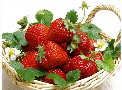 مهدی&nbsp;محمدی