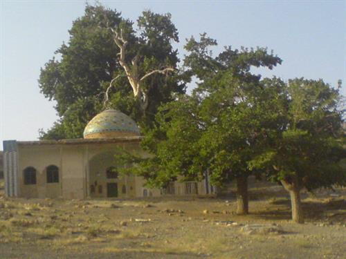 mohammad&nbsp;mohammadi