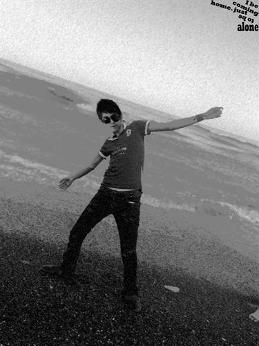 behrad&nbsp;shemirani