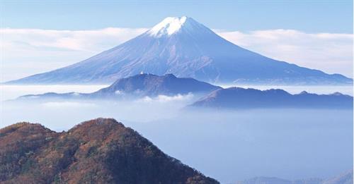 pezhman&nbsp;pezhman