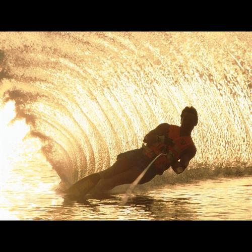 حميد&nbsp;محمدي