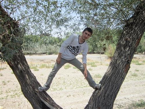 amir masoud&nbsp;parsaei