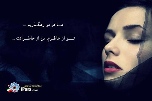 رضا&nbsp;فرهادی