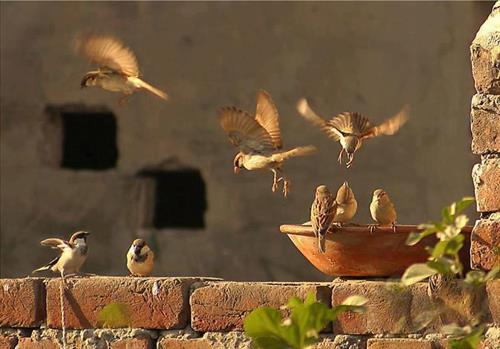 kamran&nbsp;kamrana_a@yahoo.com