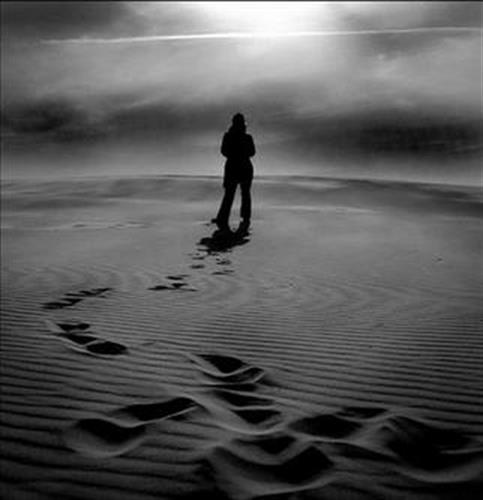 alireza&nbsp;etemadi