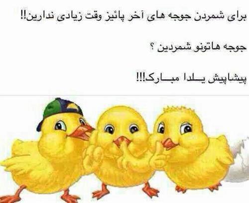 niloofar&nbsp;tehrani