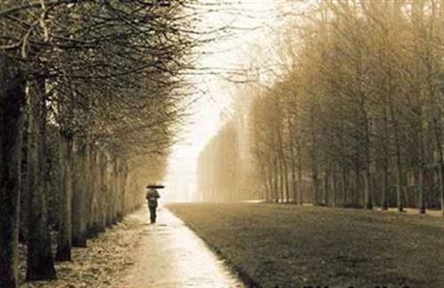 نیما&nbsp;مفیدی