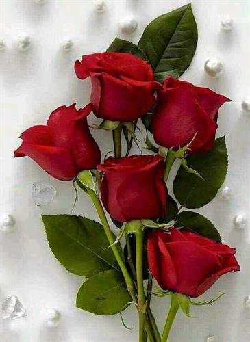 nazanin&nbsp;iranmanesh