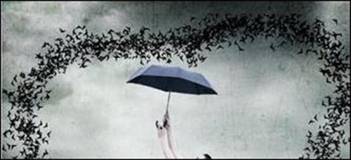 setare&nbsp;mohamadi