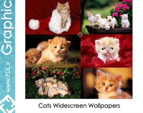 mnn&nbsp;nn