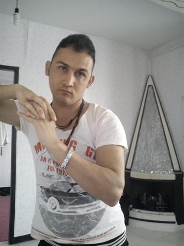 shahin&nbsp;ara