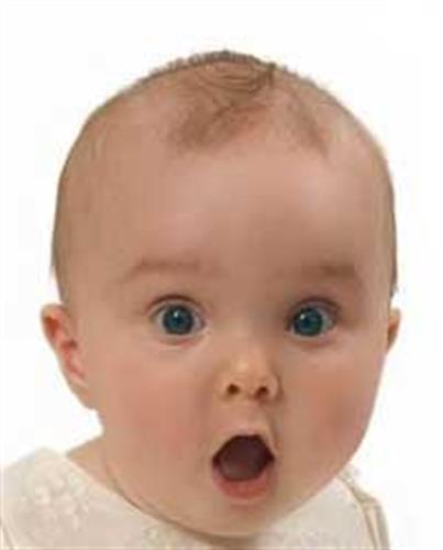 mehran&nbsp;ebrahimi