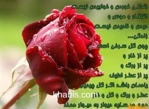 بانوی&nbsp;ایرانی