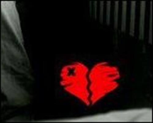 maryam&nbsp;mortazavi