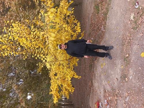 farhad&nbsp;payandeh