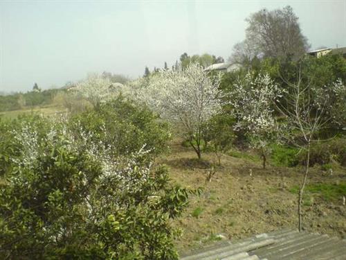 mohammmad&nbsp;kezzri