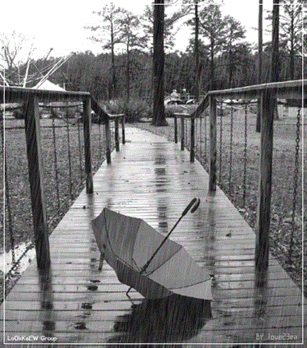 milad&nbsp;derakhshan