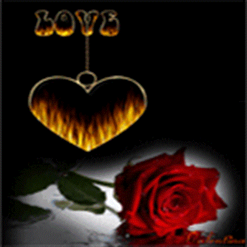 par niyan&nbsp;sohrabi